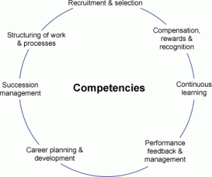 Competency cycle